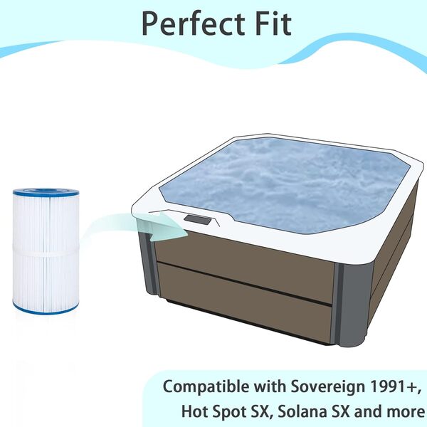 Future Way Lot de 2 filtres de rechange pour spa Watkins 31489, Pleatco PWK30