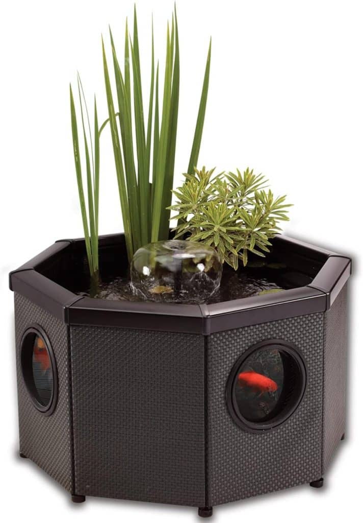 Test : fontaine octogonale Blagdon Affinity View avec pompe filtrante et LED