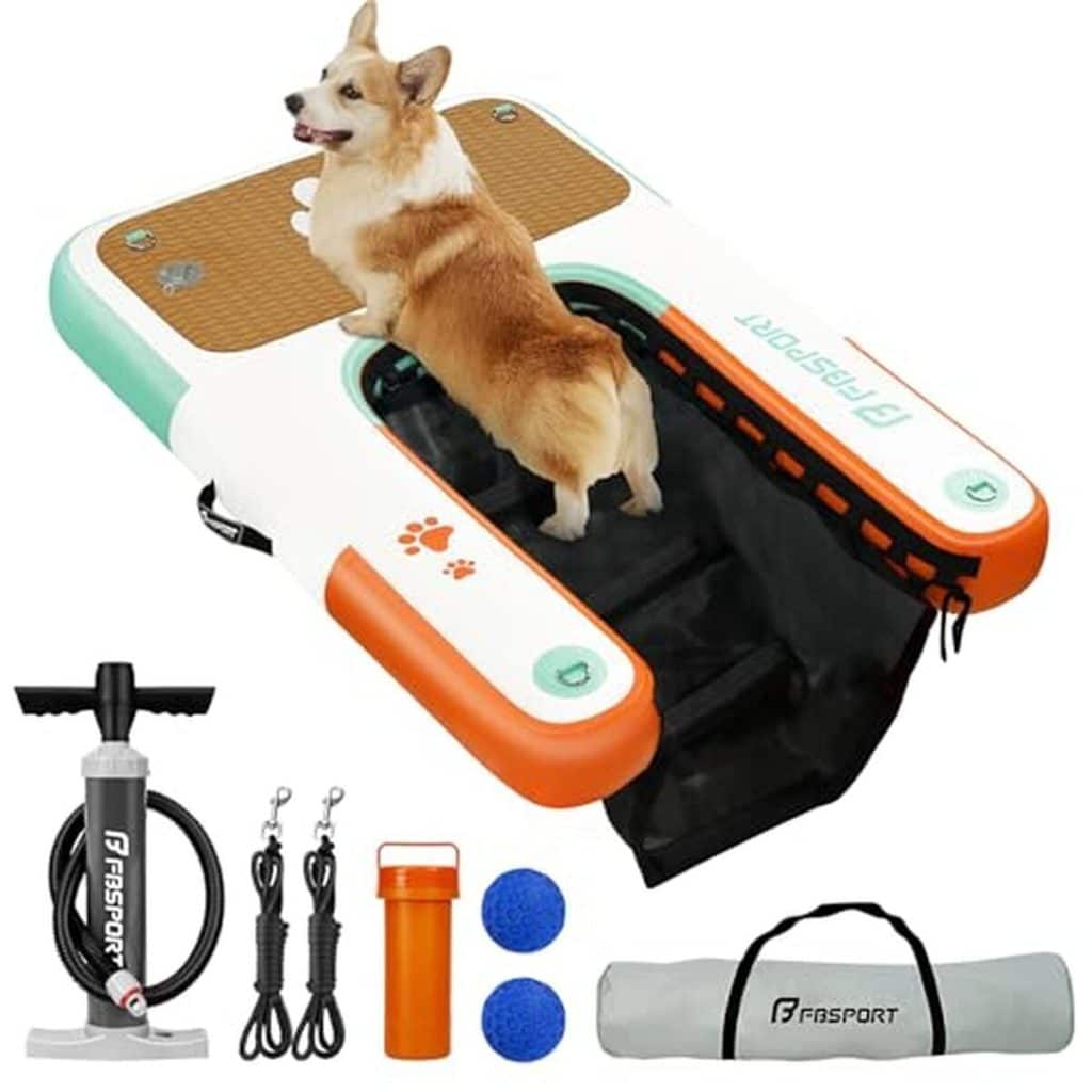 Test : rampe d'accès gonflable pour chien jusqu'à 100 kg