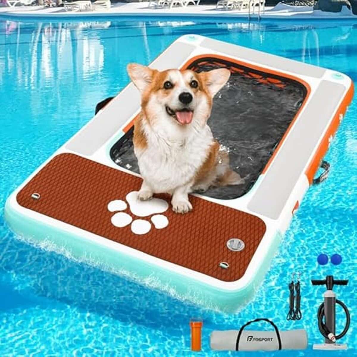 Test du flotteur pour chien FBSPORT : plateforme flottante anti-dérapante