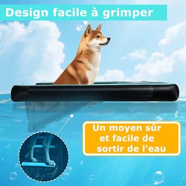 Découvrez notre test complet de la rampe d'eau gonflable 150 cm pour chiens et chats. Caractéristiques, avantages et avis d'utilisateurs pour faire le bon choix. 
