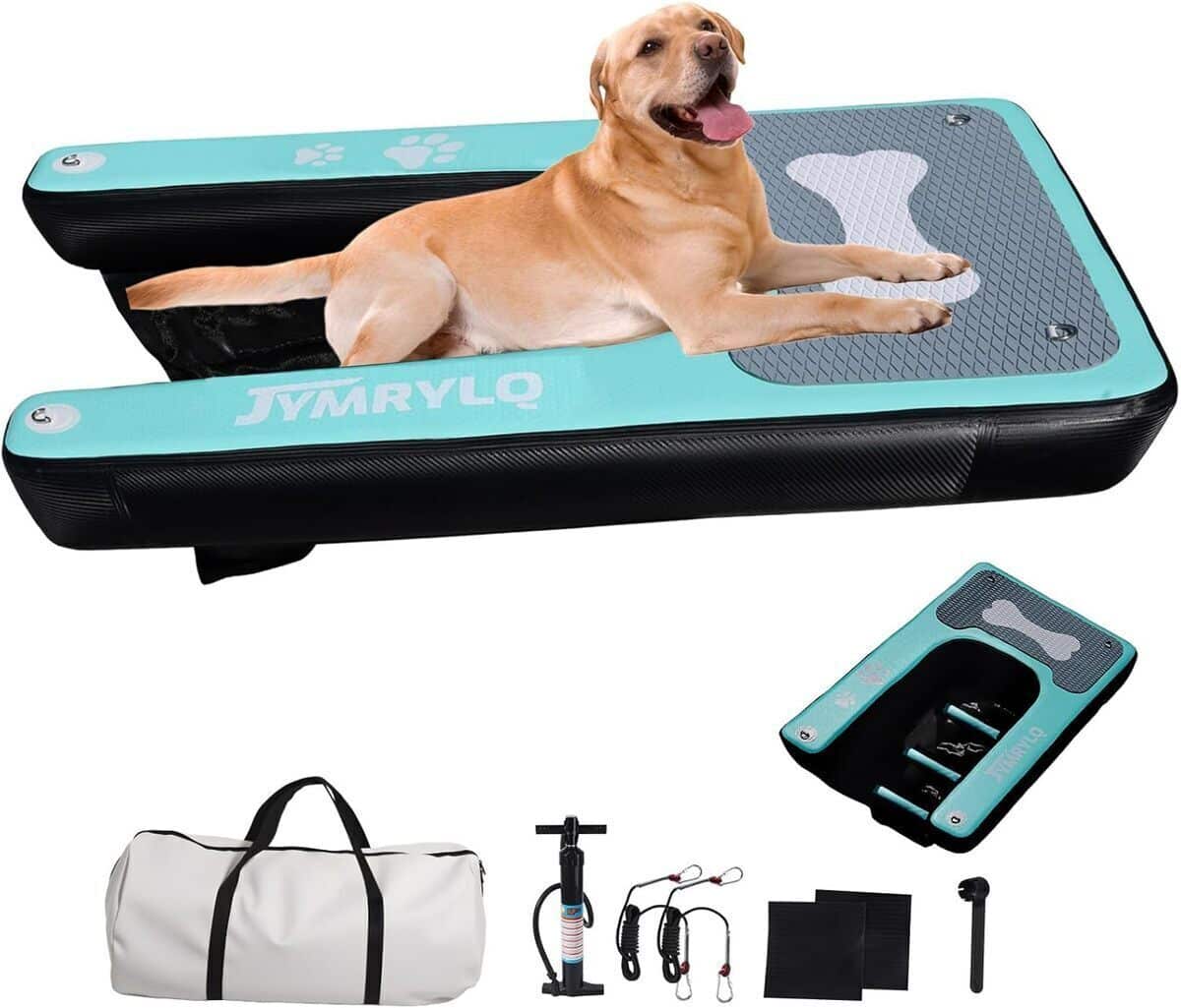 Test : rampe d'eau gonflable 150 cm pour chiens et chats
