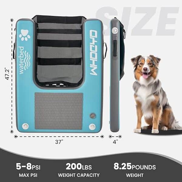 Découvrez notre test détaillé de la rampe flottante WHDCYD pour chien : la solution idéale pour piscine et bateau. Avis, caractéristiques et recommandations.