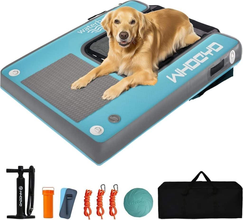 Test de la rampe flottante WHDCYD pour chien : idéale piscine et bateau